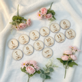 Full set of round scalloped wood butterfly milestone photo prop discs months 1-12 and hello world on soft white blanket
